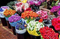 بازار گل شادمان آماده خدمت رسانی به شهروندان منطقه ۲ تهران