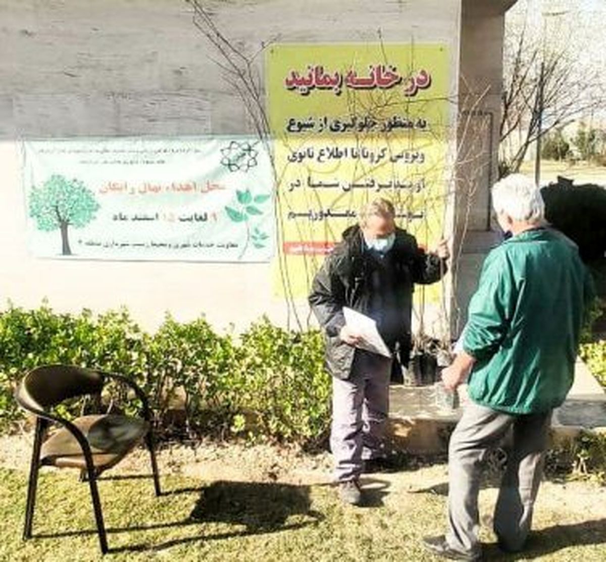 اسفندی سبز با کاشت نهال در منازل شهروندان منطقه ۴