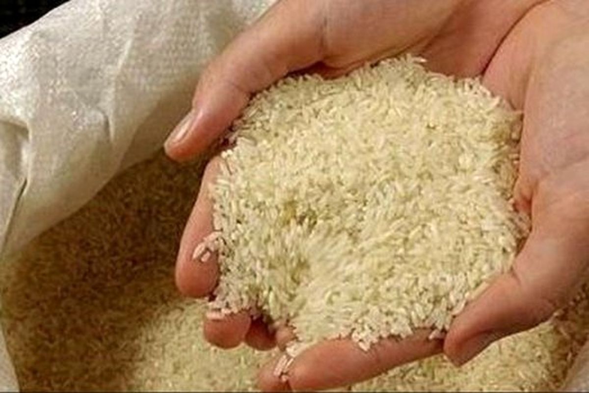 قیمت برنج ایرانی در میادین میوه و تره بار اعلام شد