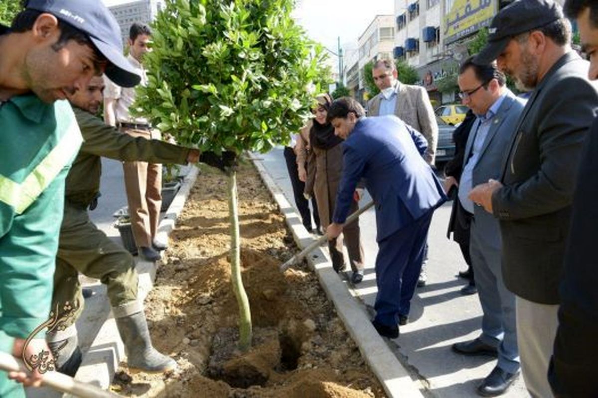 مراحل پایانی فاز اول رفیوژ سبز خیابان شریعتی