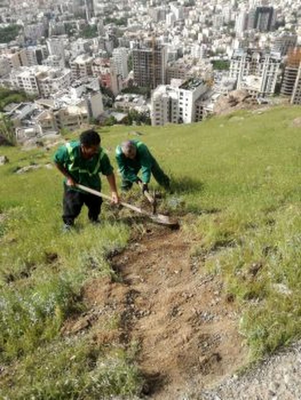 ۱۳۶ هکتار از اراضی شمال تهران علف تراشی شد