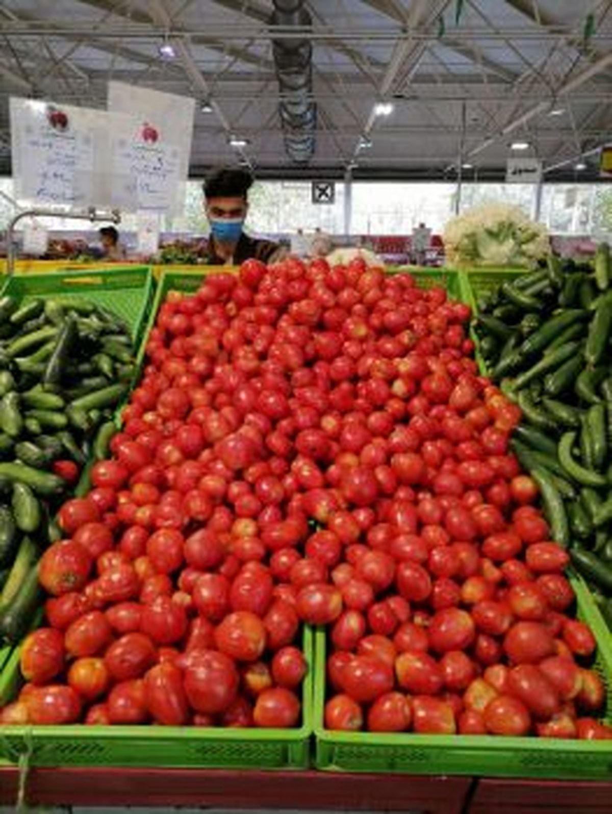 عرضه گسترده گوجه فرنگی در میادین میوه و تره بار تهران