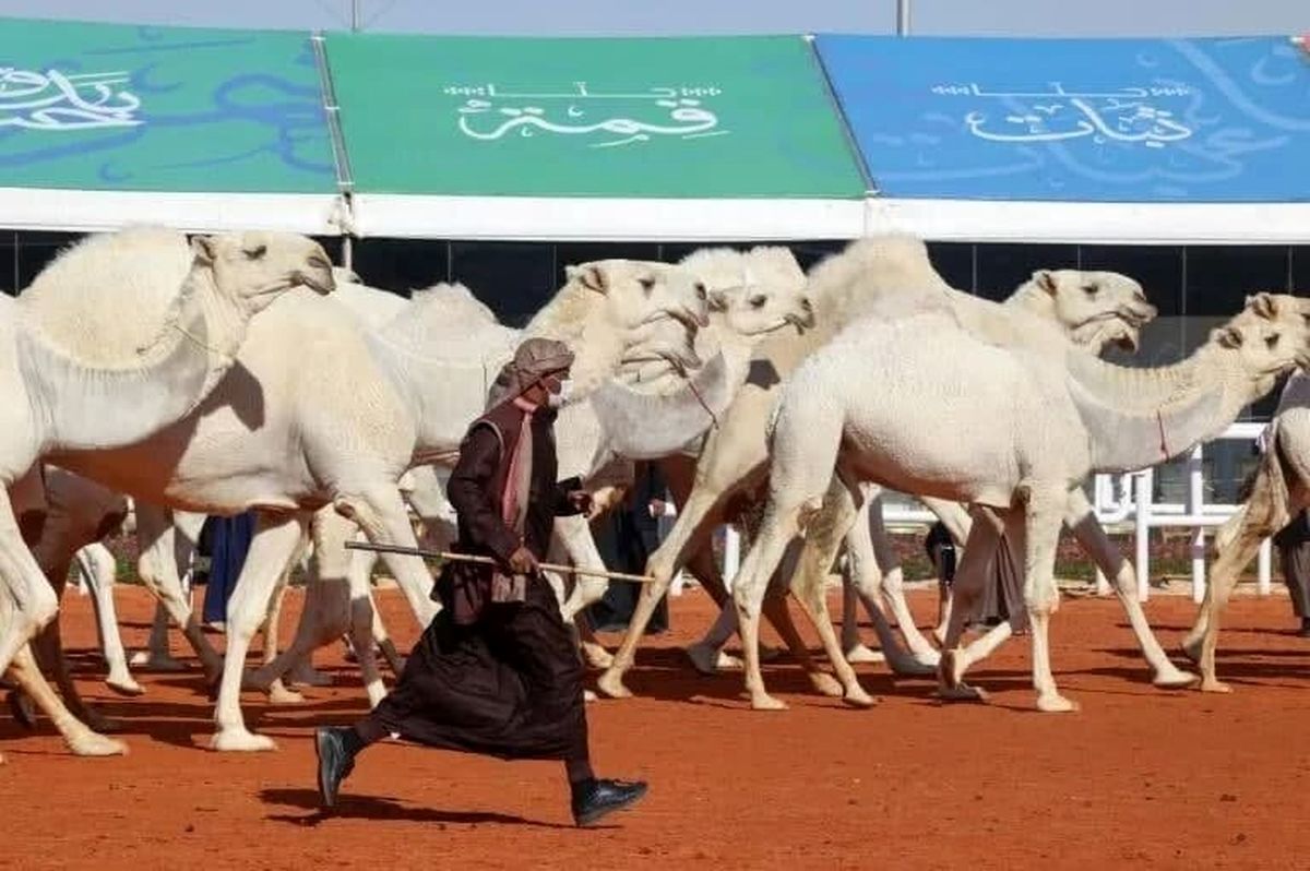 رژه زنان عربستانی در مهمترین جشنواره سعودیها+تصاویر