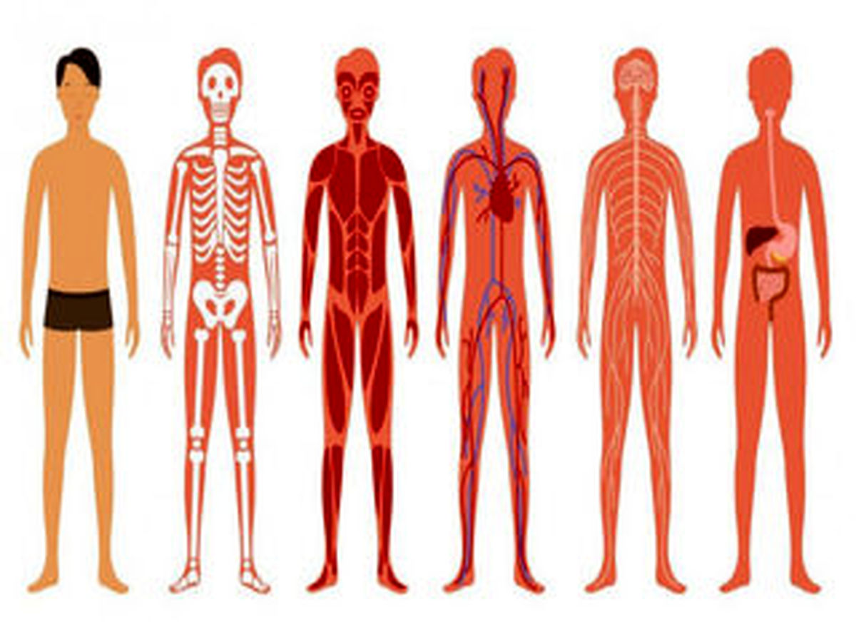 این 13 قسمت بدن سن انسان را لو می‌دهند!