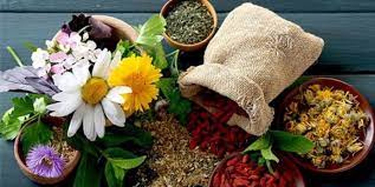 راهکارهای تغذیه‌ای طب سنتی برای تقویت سیستم ایمنی بدن در آلودگی هوا