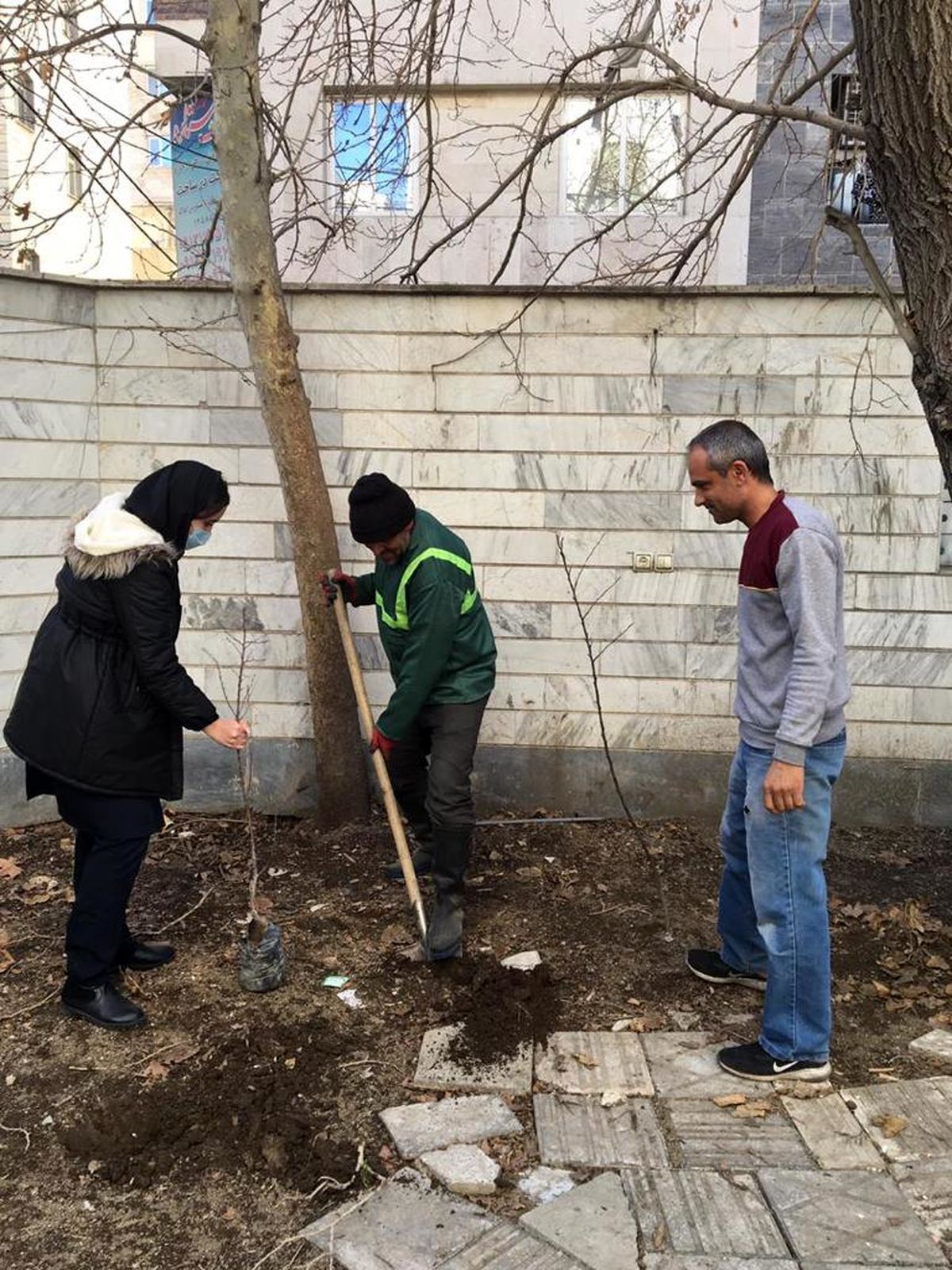 با اهدای نهال رایگان ؛ باغچه منازل شهروندان منطقه9 سبز می شود