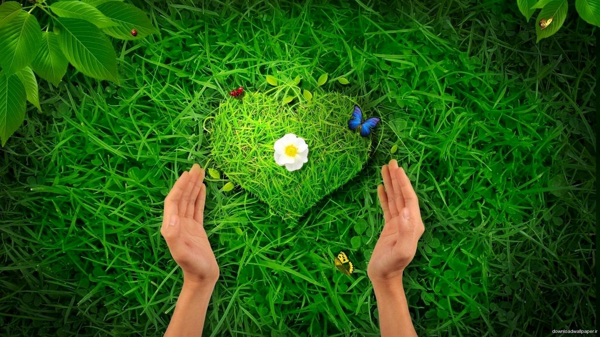 معنی و مفهوم ایموجی قلب سبز