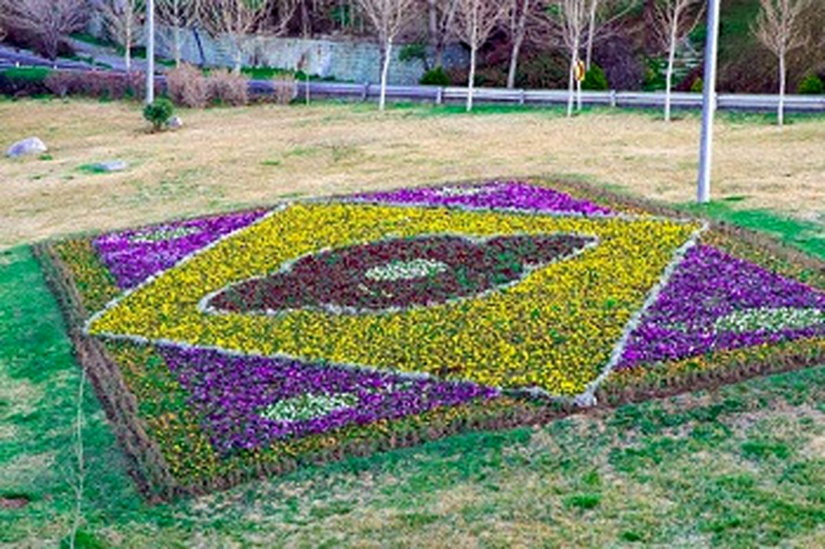 فرش های گل زینت بخش بزرگراه های منطقه ۲ پایتخت شد