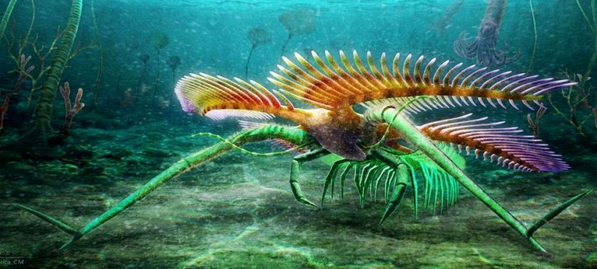 کشف یک جانور دریاییِ عجیب ۴۵۰میلیون ساله!+عکس