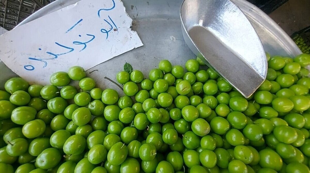 شهر گوجه سبز ایران را بشناسید