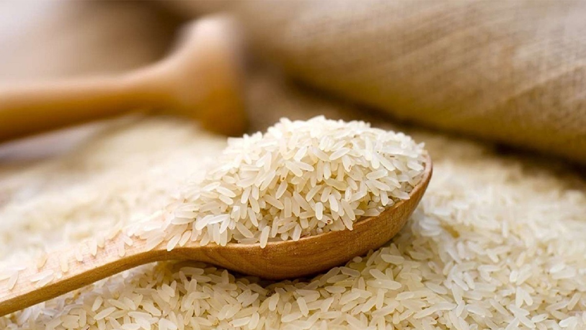 نتیجه تولید برنج با ارز آزاد، قیمت دو برابری برنج است