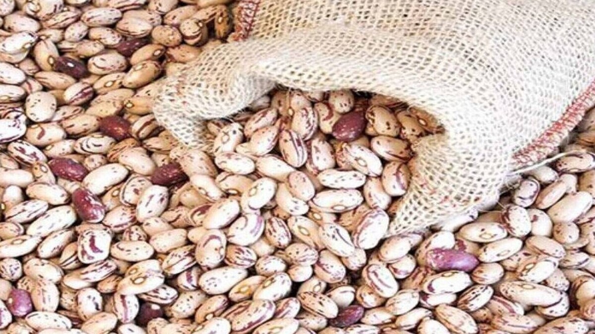 قیمت لوبیا کاهش مییابد؟