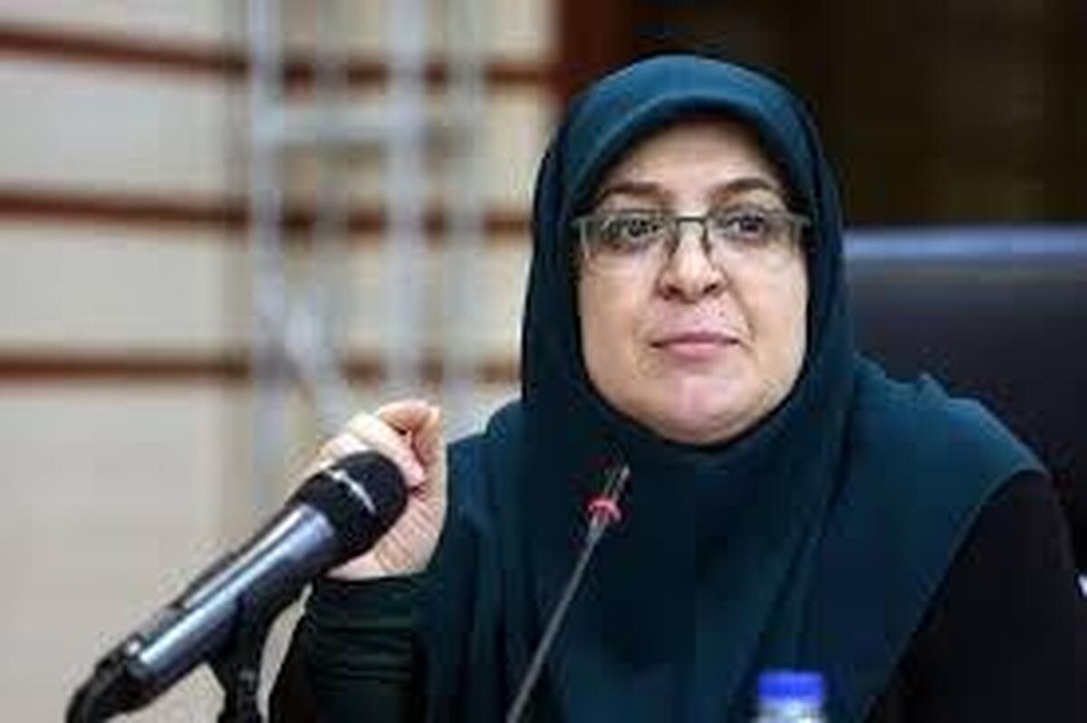 مهاجرانی: خروج اتباع غیرمجاز خواست مردم است