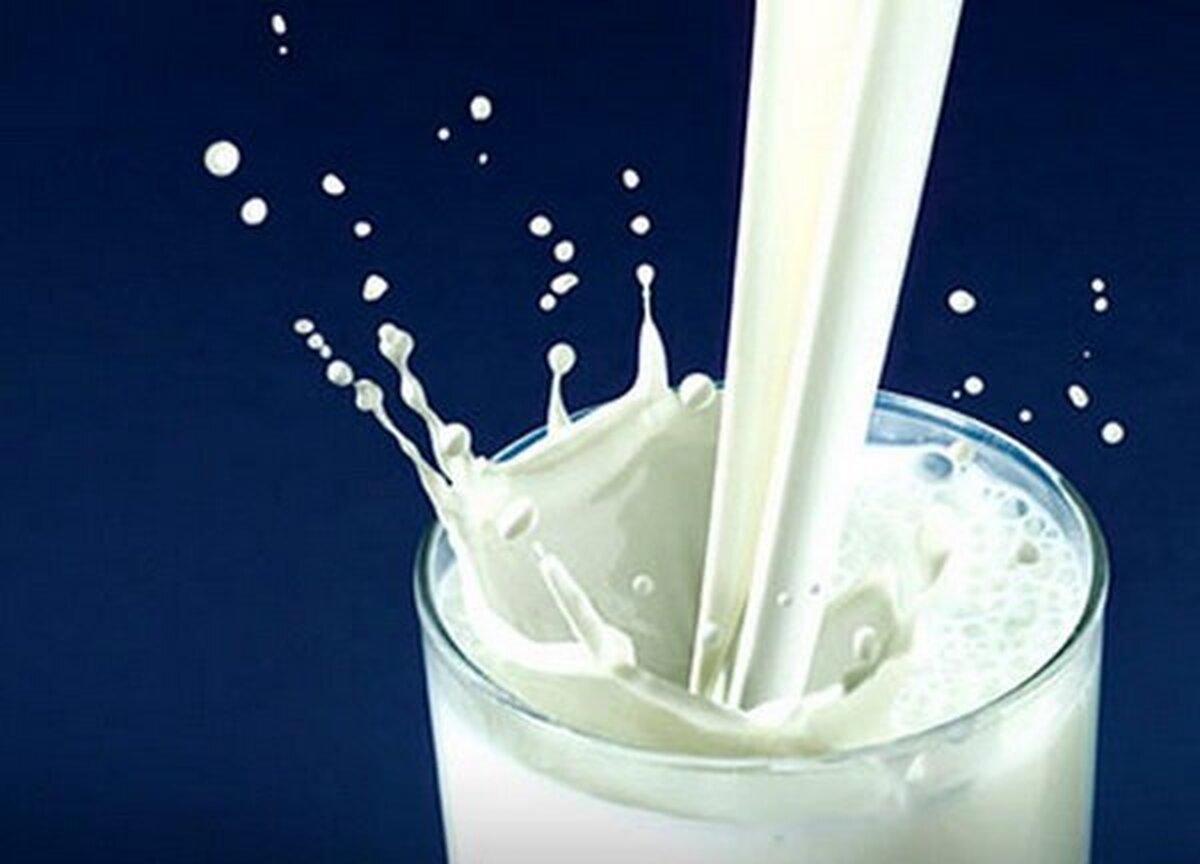 چه شیری برای شما مناسب تر است؟ ؛ انواع شیر گاو را بشناسید