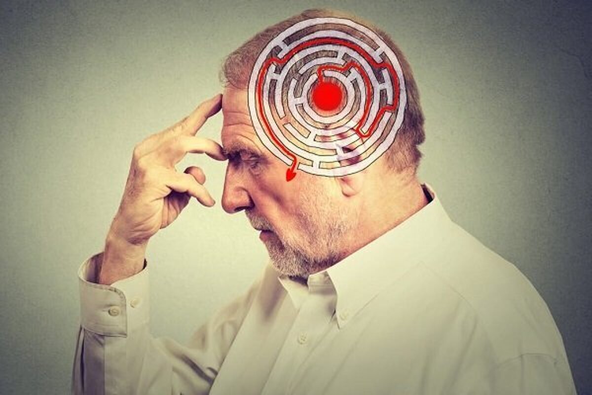 یافته هشداردهنده:‌ خطرناک‌ترین نوع چربی بدن، مغز شما را سریع‌تر پیر می‌کند