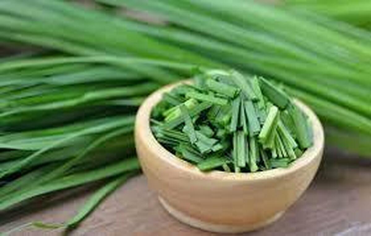 تره، قند بالایی ندارد و برای دیابتیها ممنوع نیست