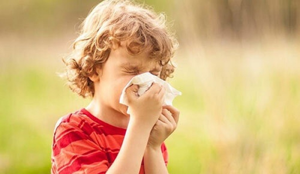 بهترین دمنوش برای آلرژی   تفاوت بین آلرژی و سرماخوردگی چیست؟ ؛ توصیه طب سنتی برای درمان آلرژی