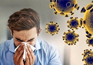 صدور هشدار درباره پیک دوم شیوع آنفوآنزا در این استان